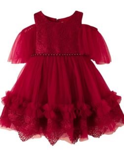 Hopscotch Baby Girls Embellished Print Short Sleeves Maroon Party Dresses