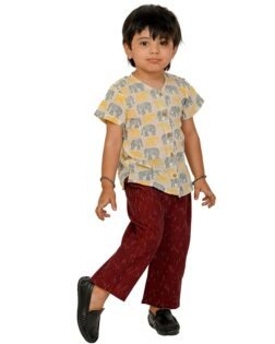 Baby Boy Clothes Cotton Shirt Pants Set 1 To 4 Years White Maroon Kids Birthday Party Half Sleeves Outfit Children Elephant Printed Dress