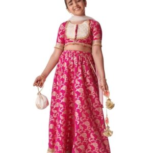 Lehenga Cholis