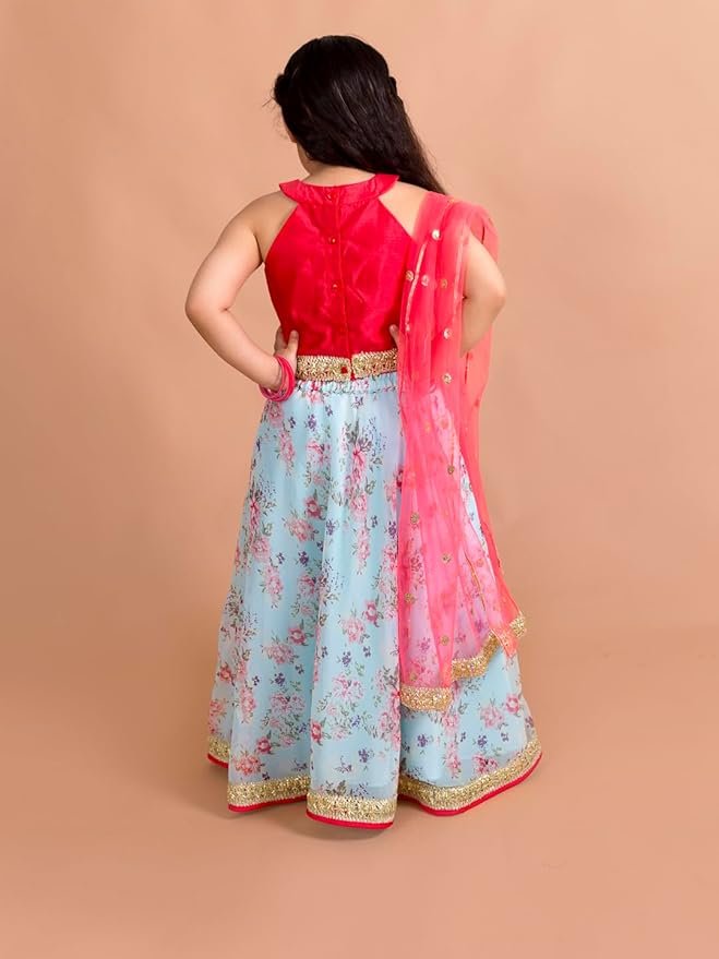 Lehenga Cholis - Image 3